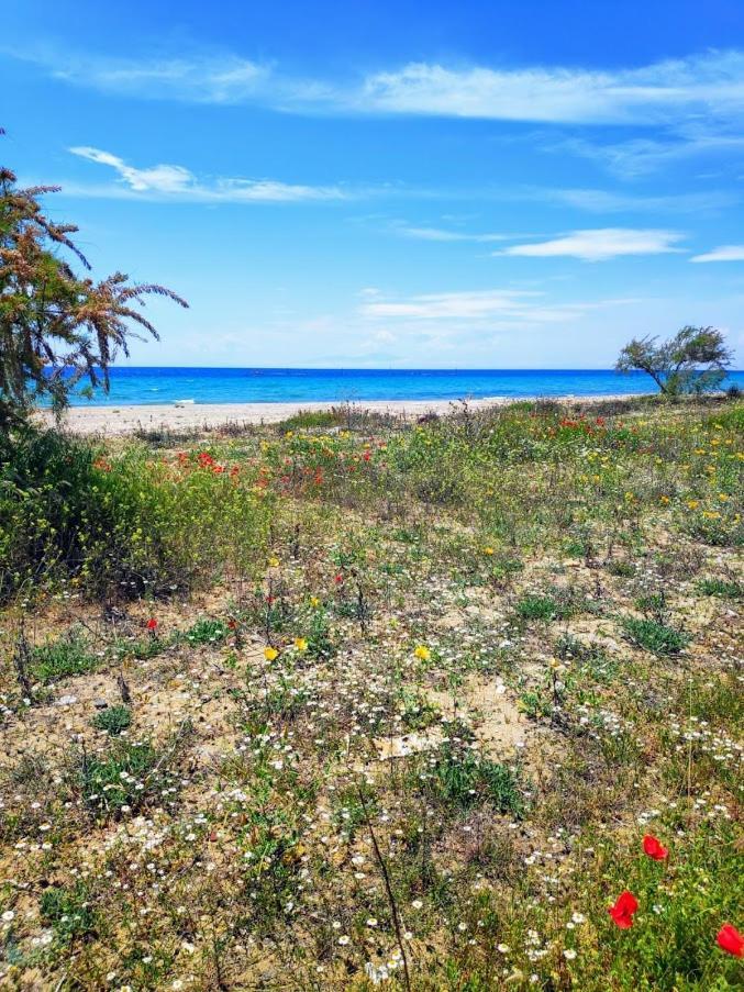 Seaside Family Apartment In Paralia Dionisiou Екстериор снимка