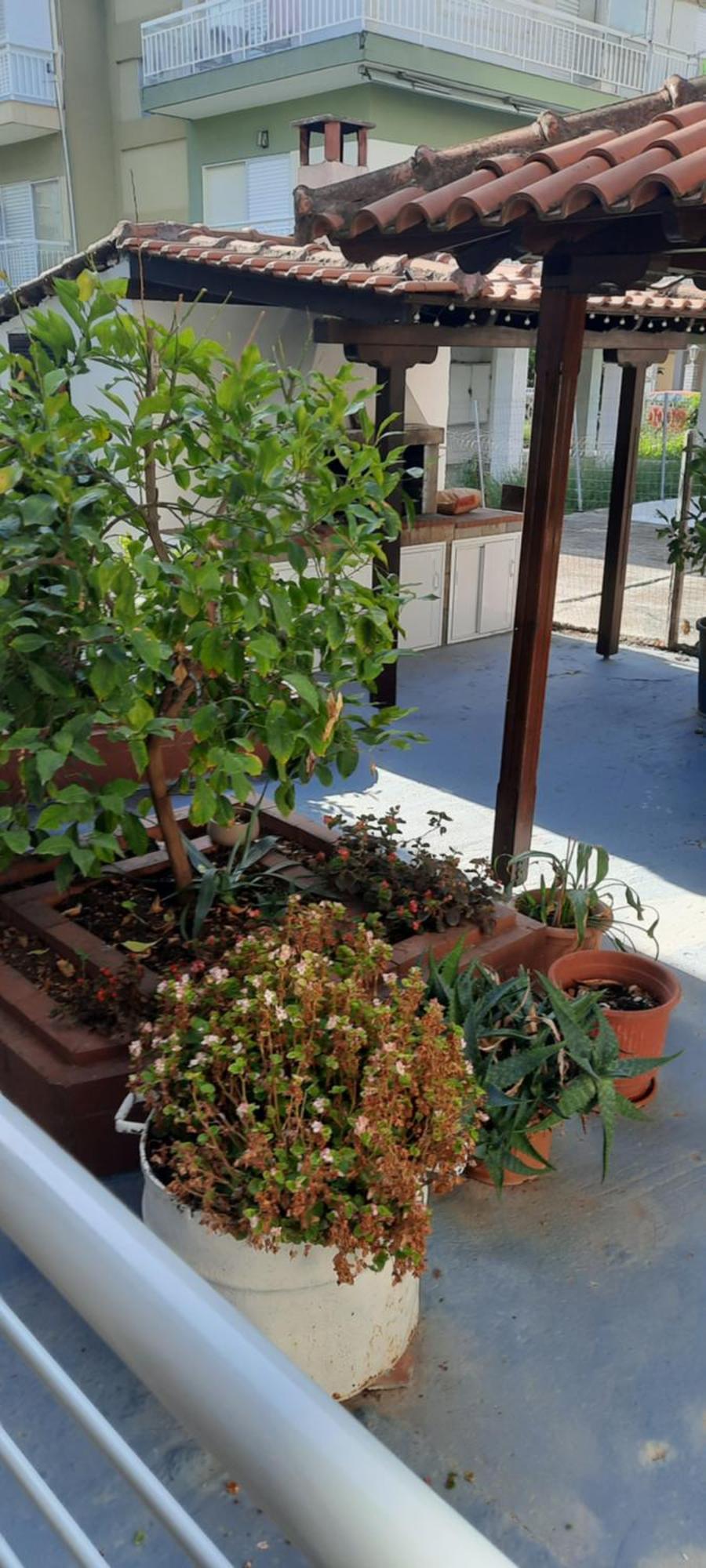 Seaside Family Apartment In Paralia Dionisiou Екстериор снимка